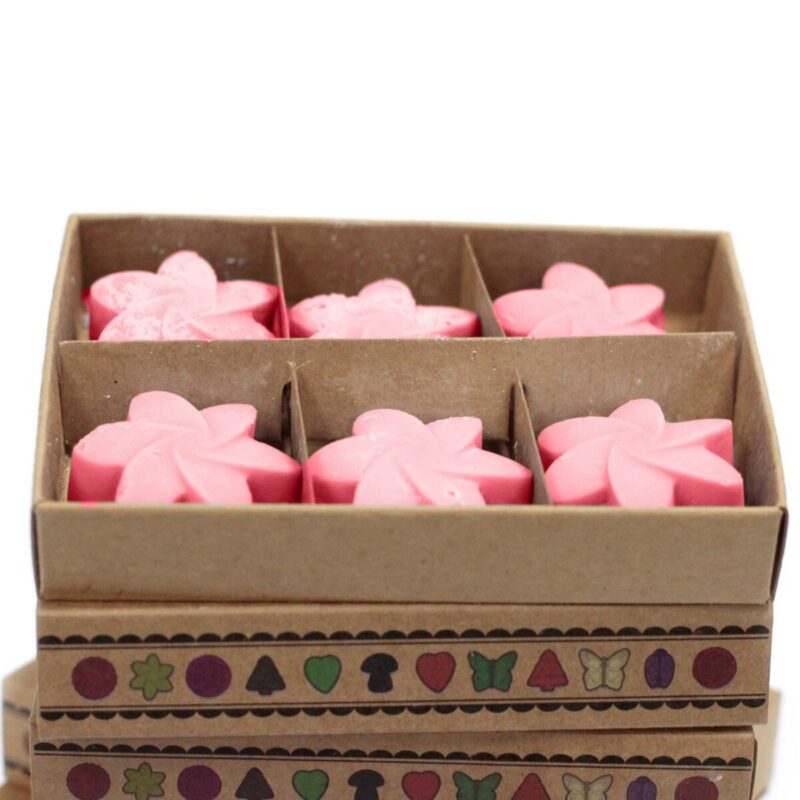 LWMELT-14 (1) Wax Melts Geschenkset Japanische – Wax-Melts-Geschenkset 6er – Japanische Magnolie | Mona und Meer