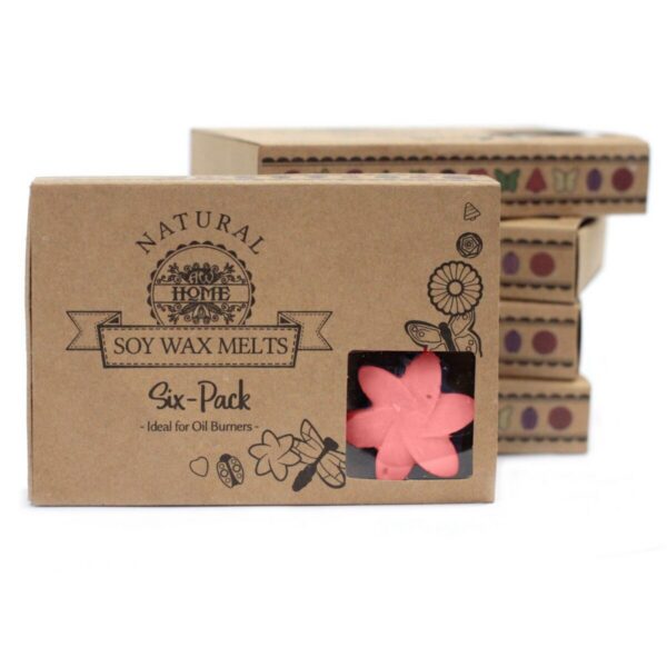 LWMELT-14 Wax Melts Geschenkset Japanische – Wax-Melts-Geschenkset 6er – Japanische Magnolie | Mona und Meer