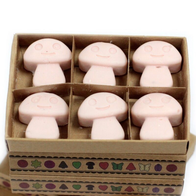 LWMELT-16 (1) Wax Melts Geschenkset Dunkles – Wax-Melts-Geschenkset 6er – Dunkles Sandelholz | Mona und Meer