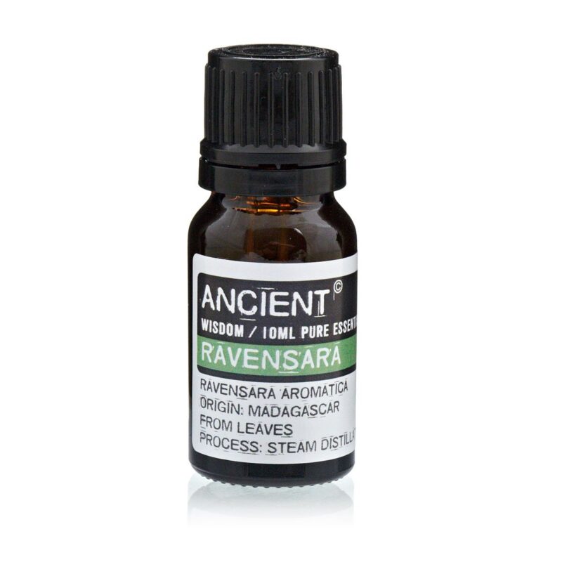 EO-74 Ravensara-Öl – Ravensara-Öl, 10ml – 100% ätherisch | Mona und Meer