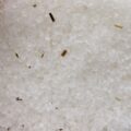 Clarity Himalaya-Badesalz – Rosmarin & Salbei