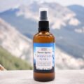 HFRS-06 (1) Raumspray Bergblüten – Raumspray 100ml – Bergblüten | Mona und Meer