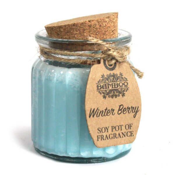 sojakerze im glas-töpfchen – winterbeere – Sojakerze im Glas-Töpfchen – Winterbeere, 120g | Mona und Meer