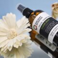 WSP-04 (1) Zaubernusswasser Pfefferminz – Zaubernusswasser mit Pfefferminz 100ml | Mona und Meer